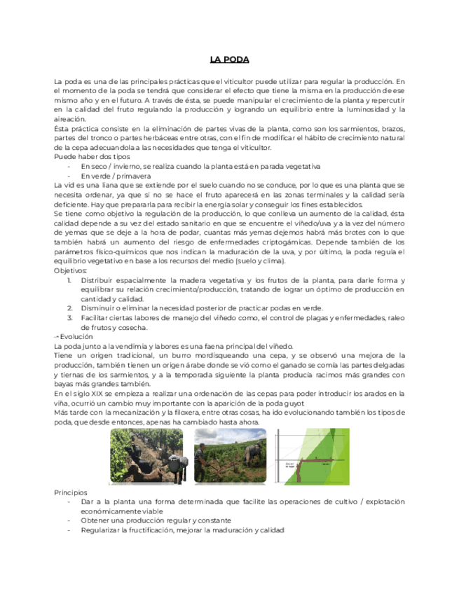 Miniatura del documento 3.-TVP.pdf