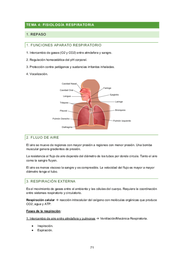 Miniatura del documento TEMA-4.pdf