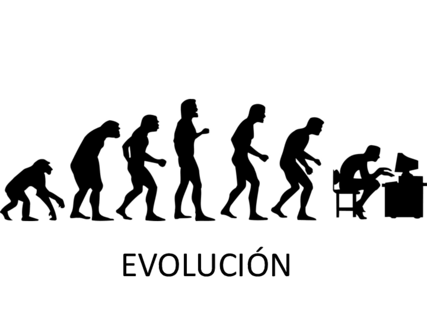 Miniatura del documento EVOLUCIÓN.pdf