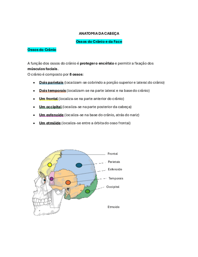Miniatura del documento ANATOMIA-DA-CABECA.pdf