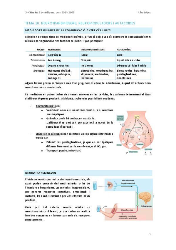 Miniatura del documento Tema-10.-Neurotransmissors-neuromoduladors-i-autacoides.pdf