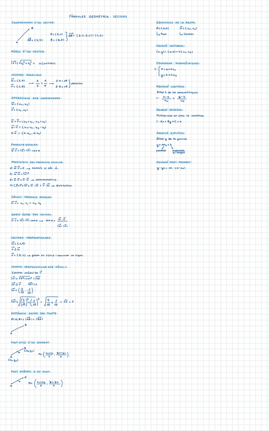 Miniatura del documento Formulari-vectors.pdf