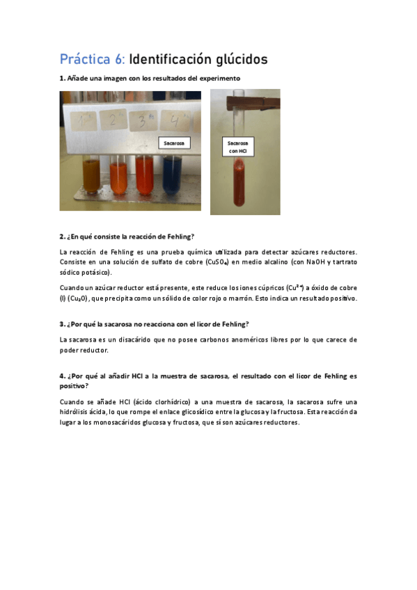 Miniatura del documento Identificicacion-glucidos-licor-de-Fehling.pdf