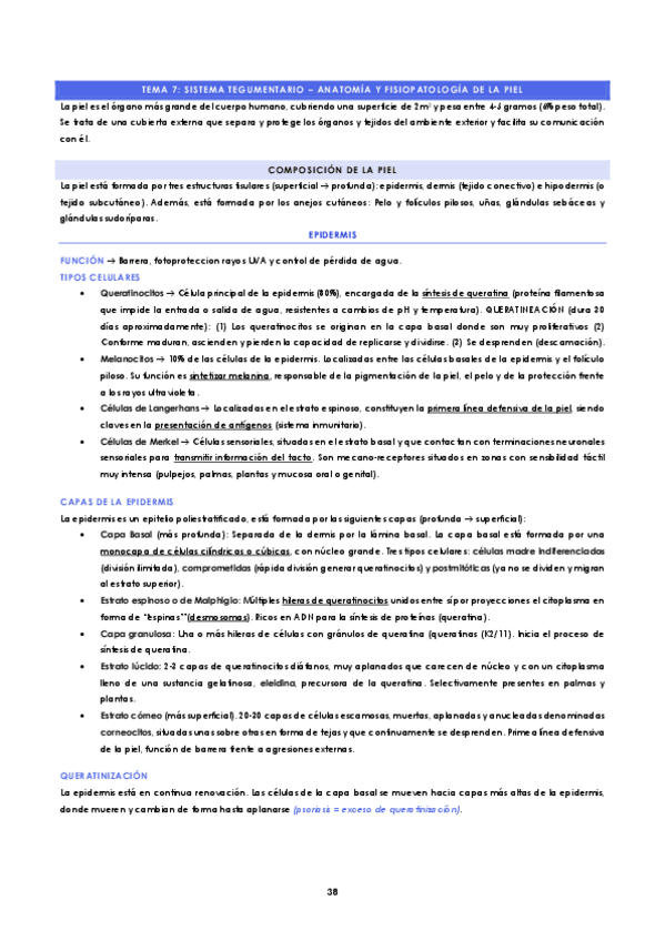 Miniatura del documento TEMA-7-Sistema-tegumentario-Anatomia-y-fisiopatologia-de-la-piel.pdf