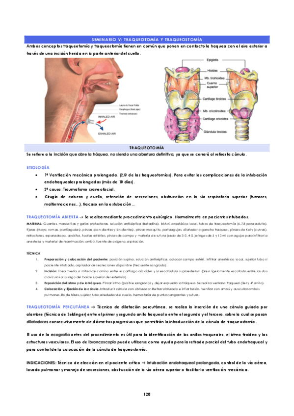 Miniatura del documento SEMINARIO-V-Traqueotomia-y-Traqueostomia.pdf