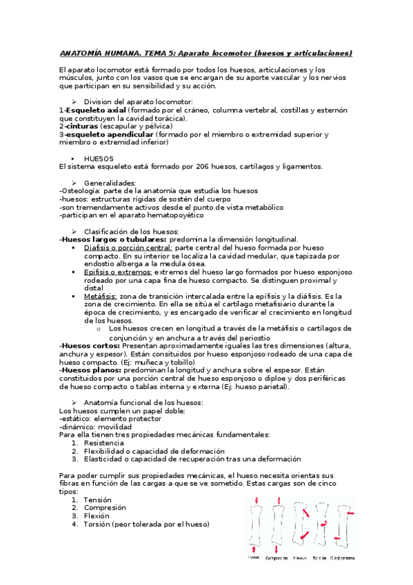 Miniatura del documento Tema 5 (I). .docx