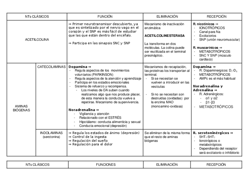 Miniatura del documento NTs CLÁSICOS.docx