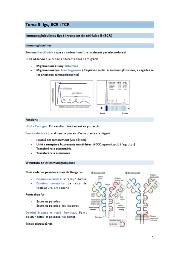 Miniatura del documento T8-IMM.pdf