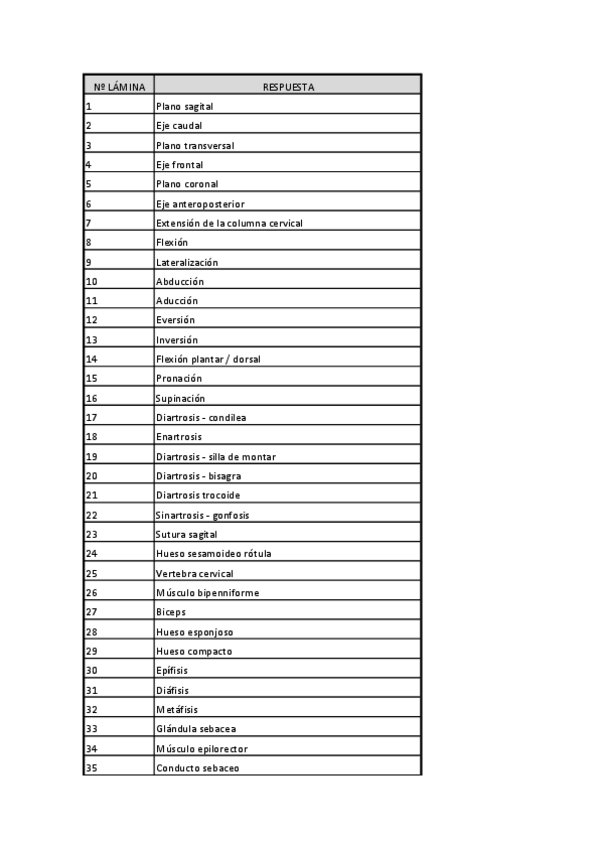 Miniatura del documento Laminas-anatomia.pdf