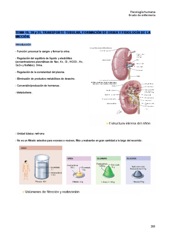 Miniatura del documento Tema-19-20-y-21-fisiologia-humana.pdf