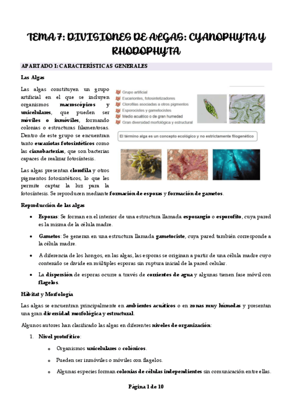 Miniatura del documento Tema-7-Divisiones-Cyanophyta-y-Rhodophyta.pdf