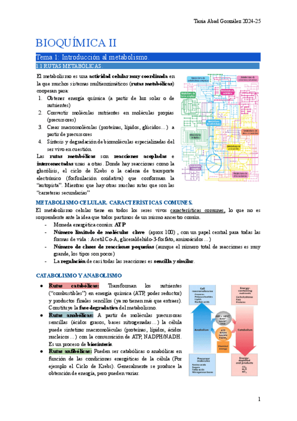 Miniatura del documento BIO2-Tema1.pdf