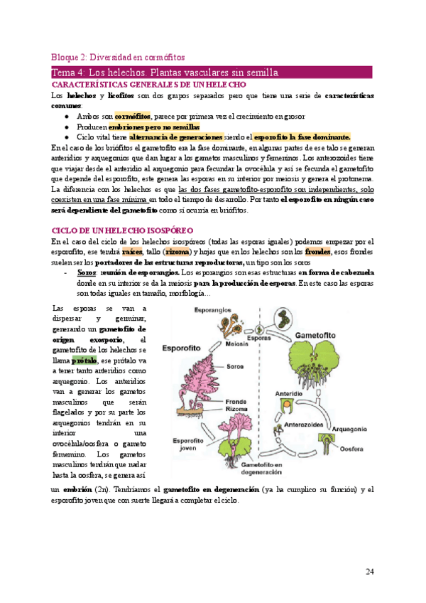 Miniatura del documento BOT2-Tema4.pdf