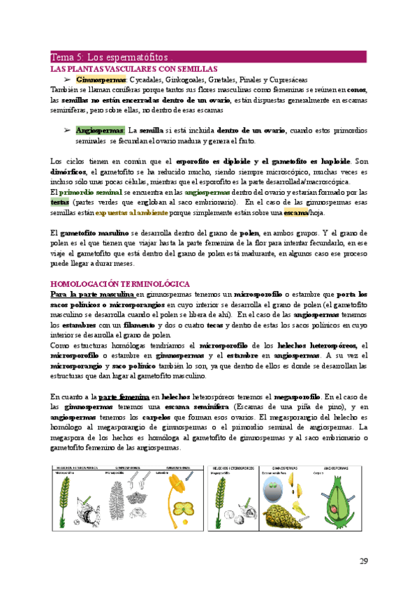 Miniatura del documento BOT2-Tema5.pdf