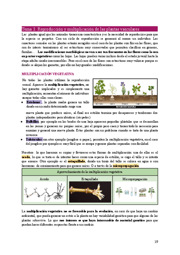 Miniatura del documento BOT2-Tema3.pdf