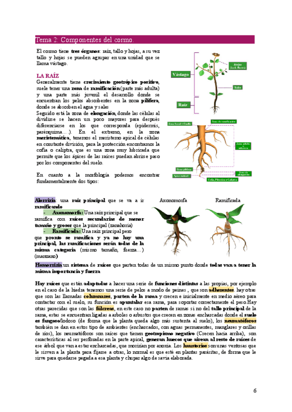 Miniatura del documento BOT2-Tema2.pdf