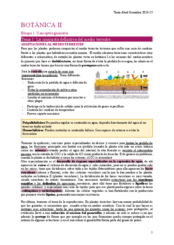 Miniatura del documento BOT2-Tema1.pdf