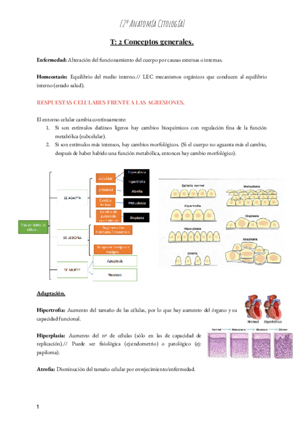 Miniatura del documento T-2-Conceptos-generales.pdf