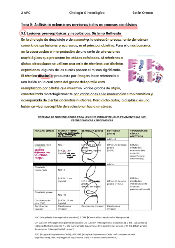 Miniatura del documento Tema-5-Analisis-de-extensiones-cervicovaginales-en-procesos-neoplasicos.pdf