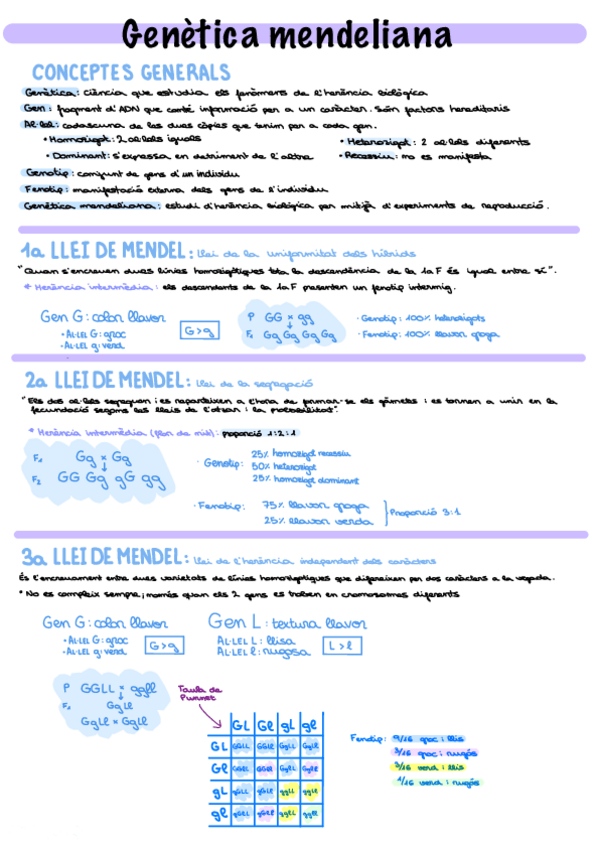 Miniatura del documento Biologia-2n-Bach-Genetica-mendeliana.pdf
