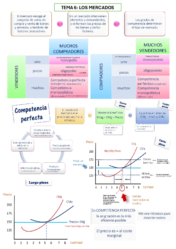 Miniatura del documento TEMA-6.pdf