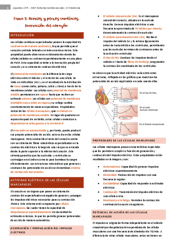 Miniatura del documento tema-8-cardio.pdf