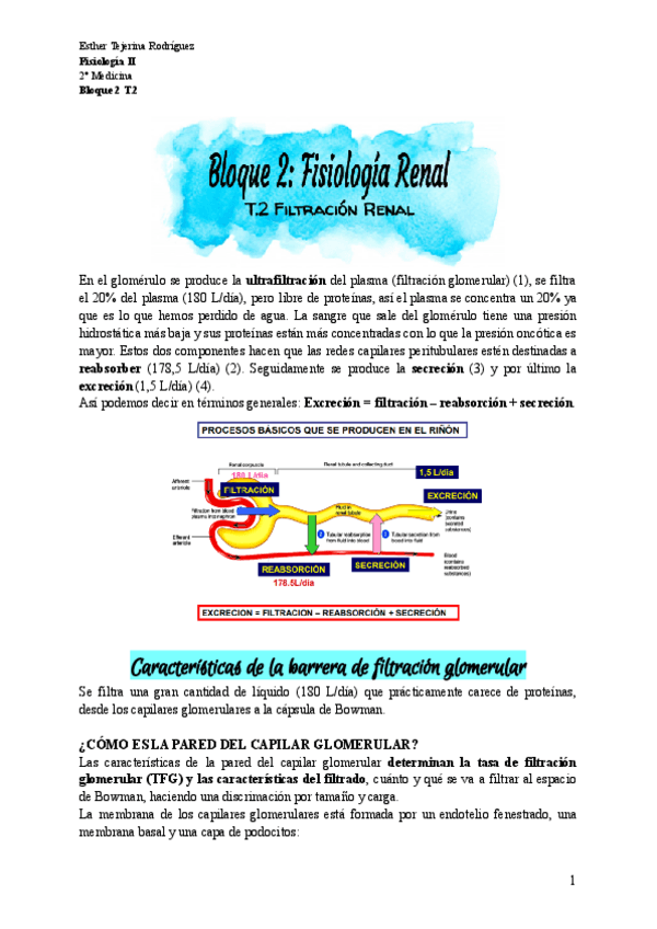 Miniatura del documento TEMA-12.pdf