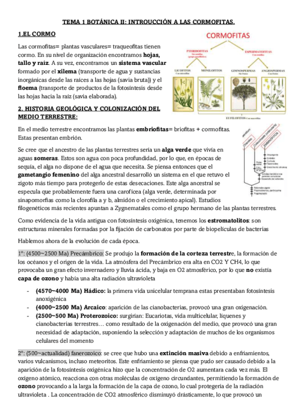 Miniatura del documento TEMA-1-BOTANICA-II-INTRODUCCION-A-LAS-CORMOFITAS.pdf