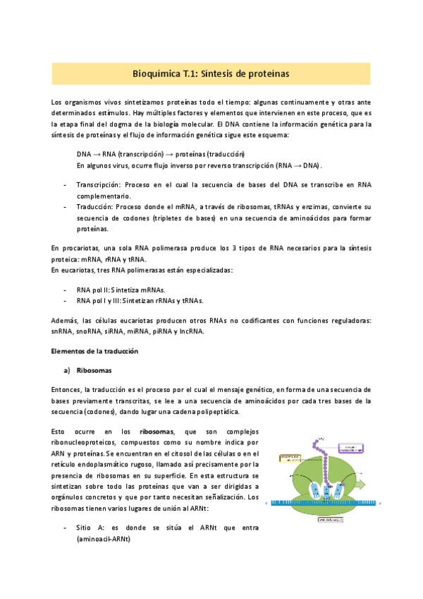 Miniatura del documento BQ-Tema-1-2025.pdf