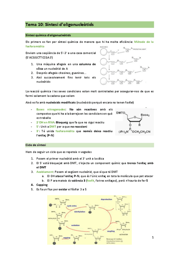 Miniatura del documento T10-ENG.pdf