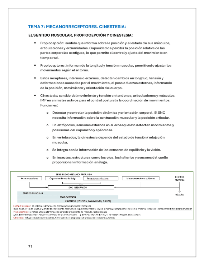Miniatura del documento TEMA7FAC.pdf