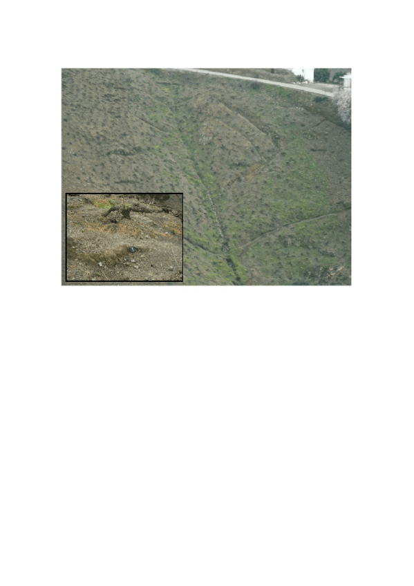 Miniatura del documento Fotos.docx