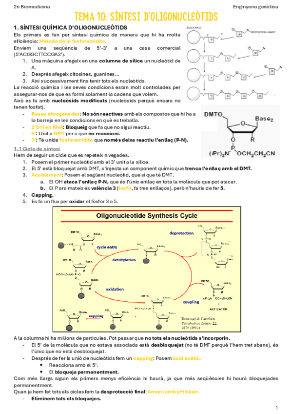 Miniatura del documento T10-Sintesi-doligonucleotids.pdf