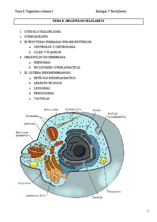 Miniatura del documento Tema 8 Orgánulos celulares I.doc.pdf