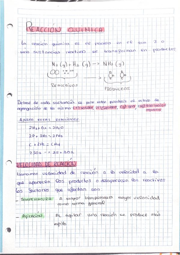 Miniatura del documento Reacciones-quimicas.pdf