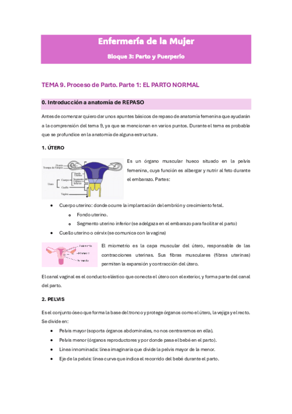 Miniatura del documento B3.-Tema-9.-Proceso-de-parto-3-partes.-Parto-normal-distocico-y-cesarea.pdf