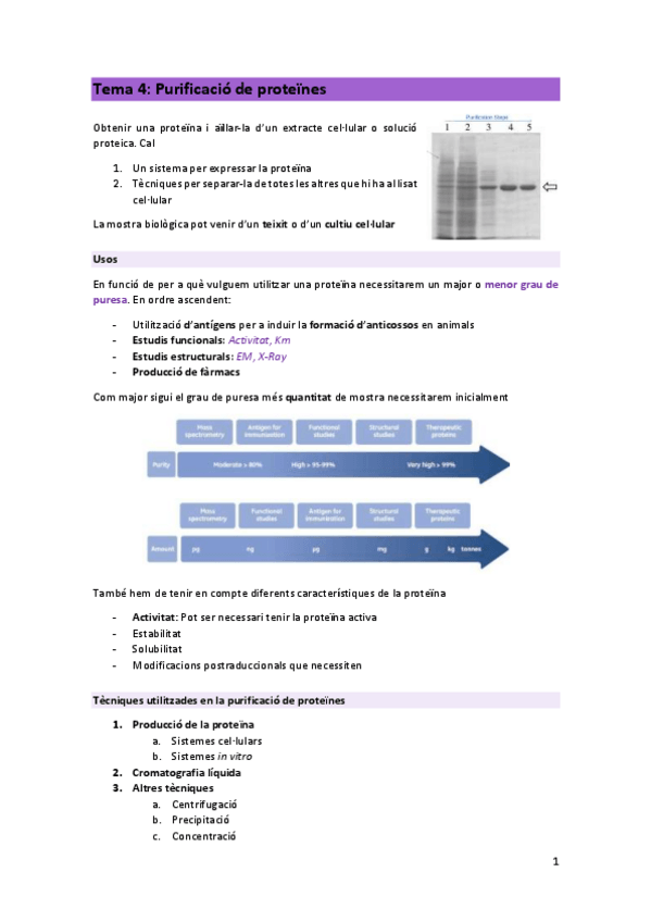 Miniatura del documento T4-PRO.pdf