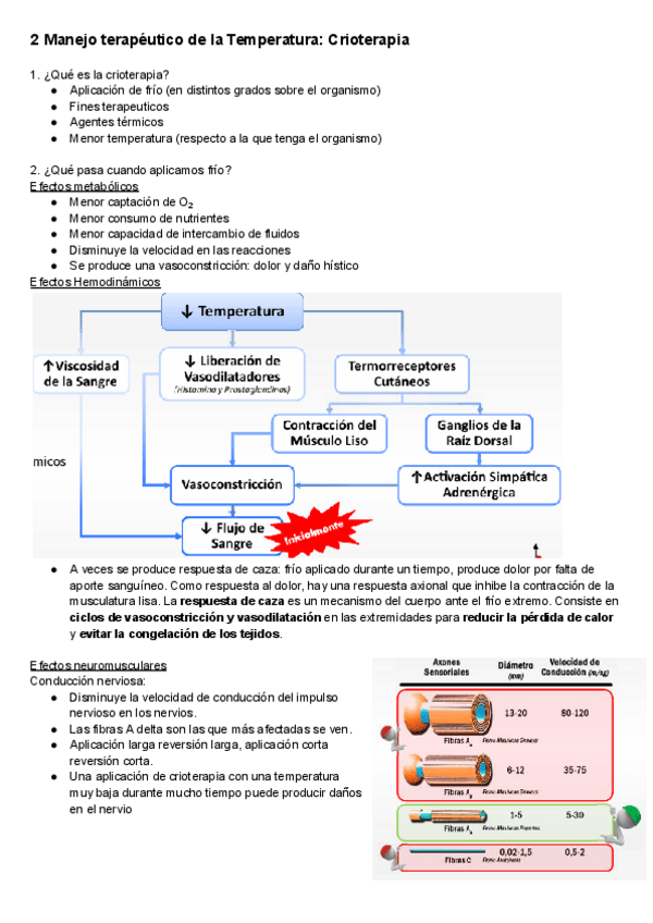 Miniatura del documento 2-Manejo-terapeutico-de-la-Temperatura-Crioterapia.pdf