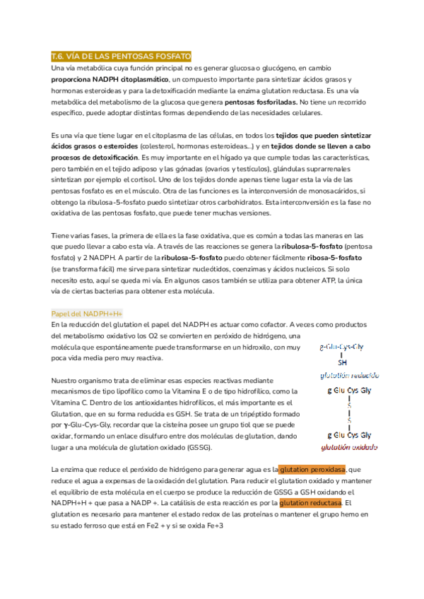 Miniatura del documento T6.PENTOSAS-FOSFATO.pdf