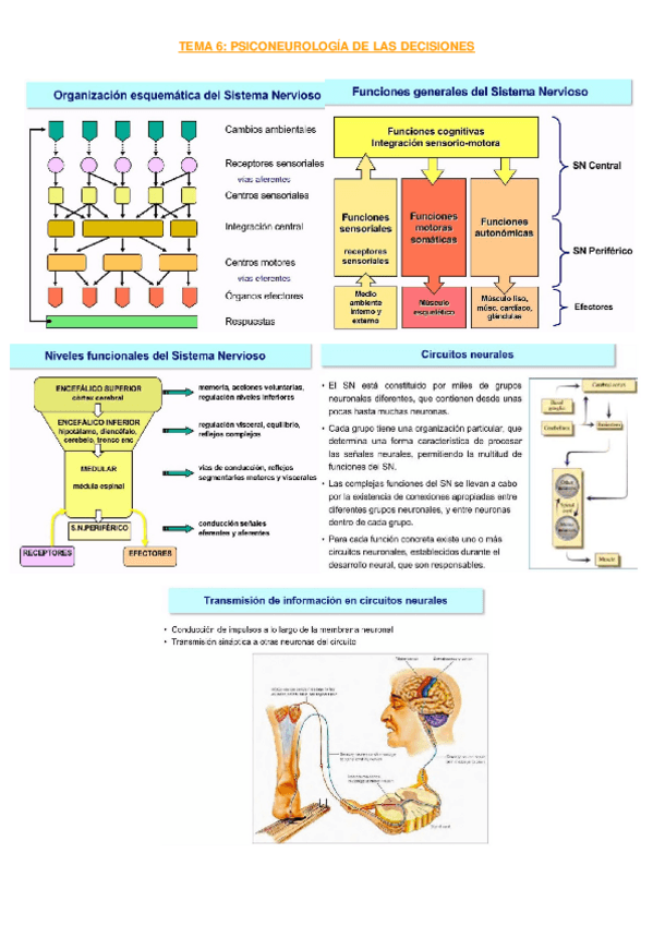 Miniatura del documento 7.docx