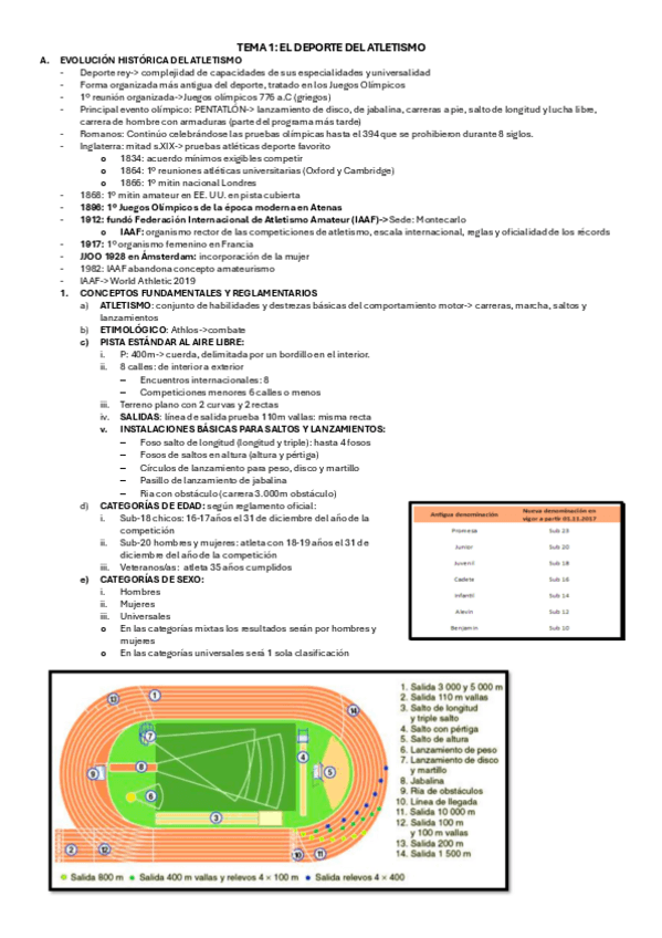 Miniatura del documento apuntes-atletismo.pdf