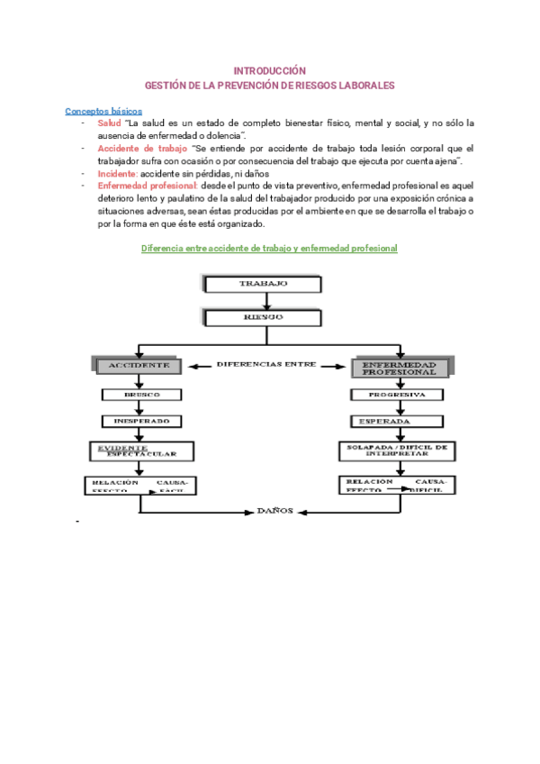 Miniatura del documento INTRODUCCION-GESTION-DE-LA-PREVENCION-DE-RIESGOS-LABORALES.pdf