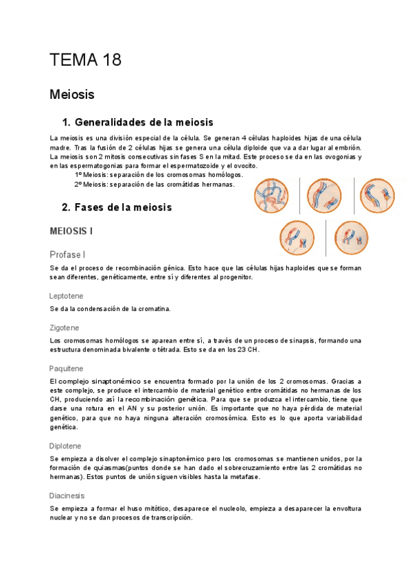 Miniatura del documento TEMA-18-meiosis-y-gametogenesis.docx.pdf