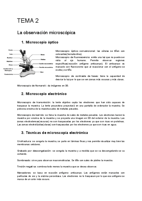 Miniatura del documento TEMA-2-La-observacion-microscopica.docx.pdf