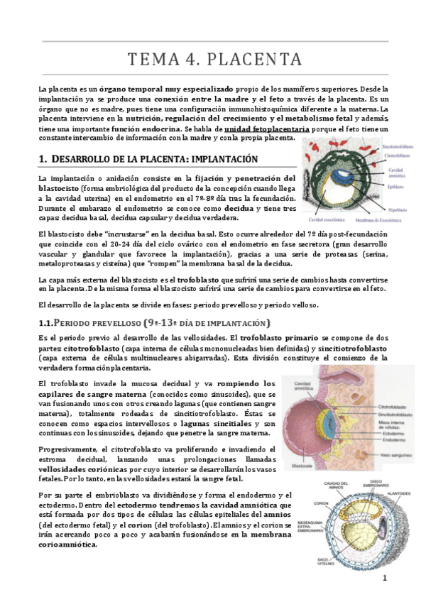 Miniatura del documento TEMA 4.pdf