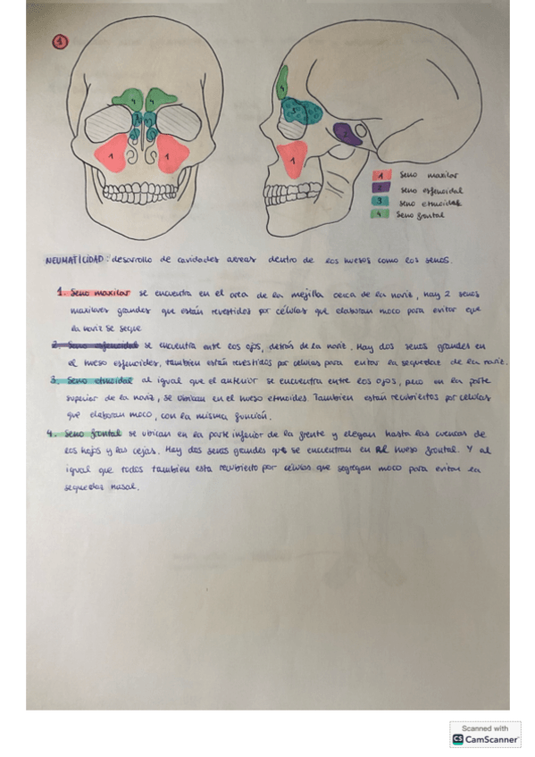 Miniatura del documento atlas.pdf