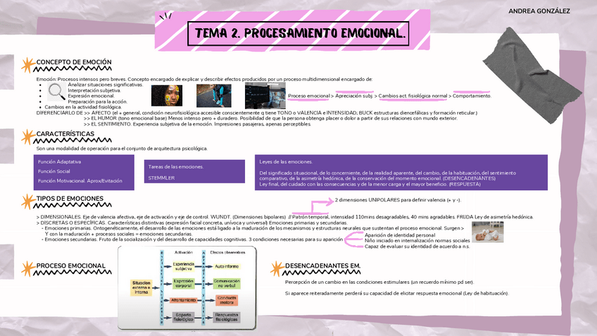 Miniatura del documento ESQUEMA-TEMA-2.-PROCESAMIENTO-EMOCIONAL.pdf