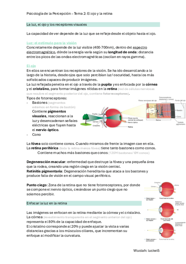 Miniatura del documento T.2-P.-Percepcion.pdf