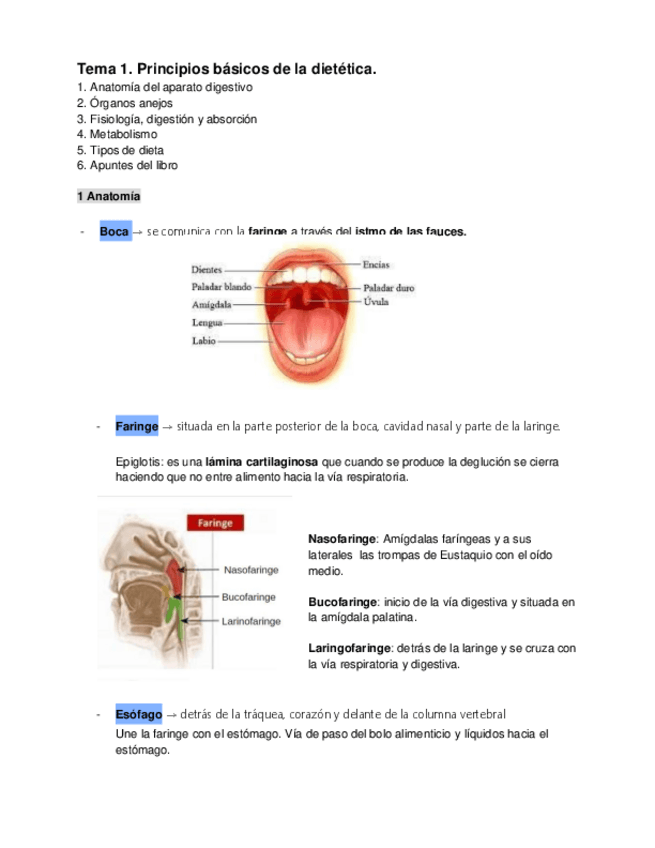Miniatura del documento Tema-1.-Principios-basicos-de-la-dietetica..pdf