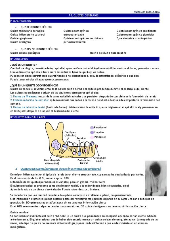 Miniatura del documento tema-9.pdf